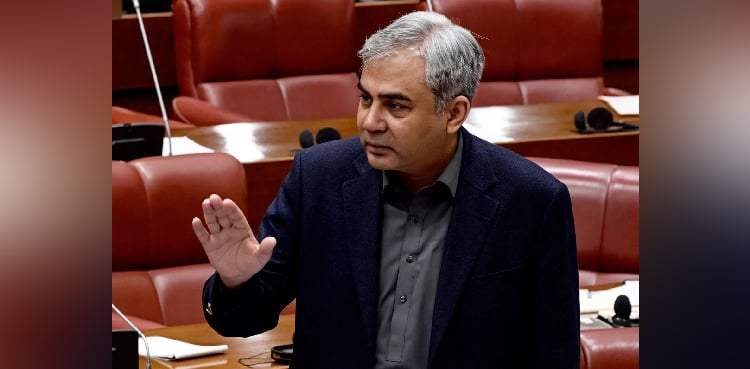 تصویر: اے آر وائی نیوز پی ٹی آئی رہنماؤں کے کالعدم ٹی ٹی پی سے رابطے ہیں، وقت آنے پر ثبوت دیں گے: محسن نقوی
