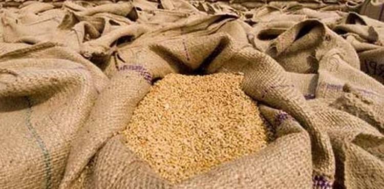 پنجاب حکومت نے گندم کی نئی قیمت مقرر کر دی